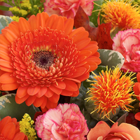 Mixed Bouquets