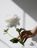 Fairtrade Golden Autumn Hand tied