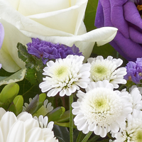 Baby Boy Perfect Gift