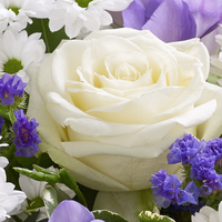 Baby Boy Perfect Gift