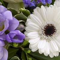 Baby Boy Perfect Gift