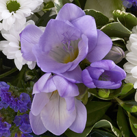 Baby Boy Perfect Gift