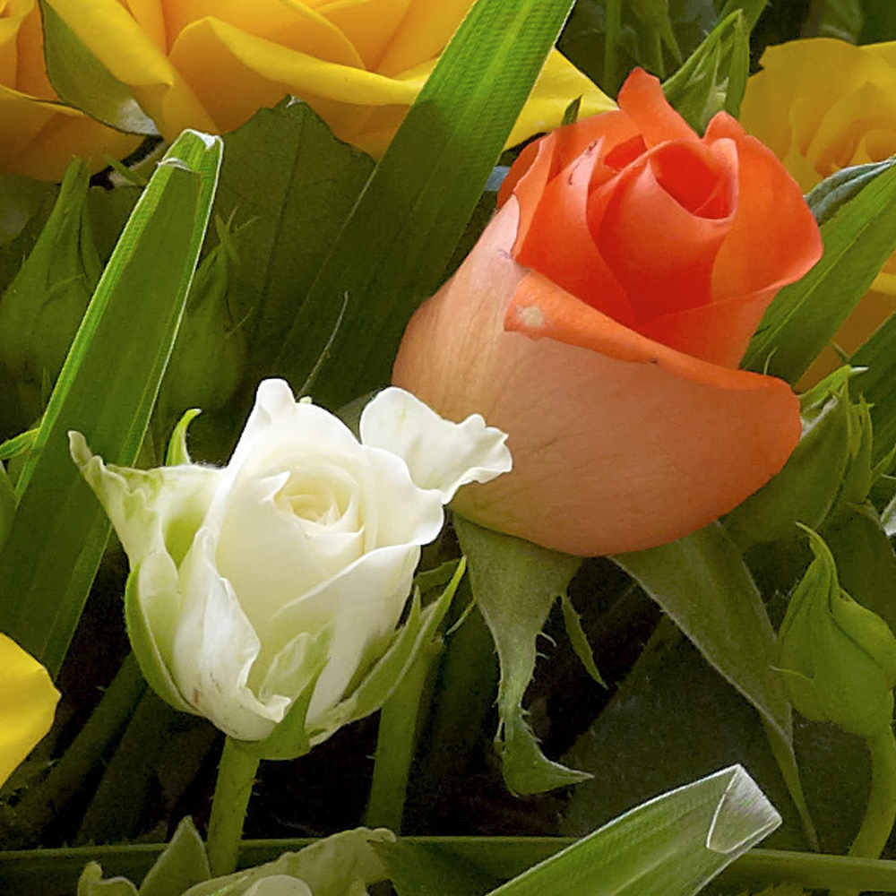 Fairtrade Golden Autumn Hand tied