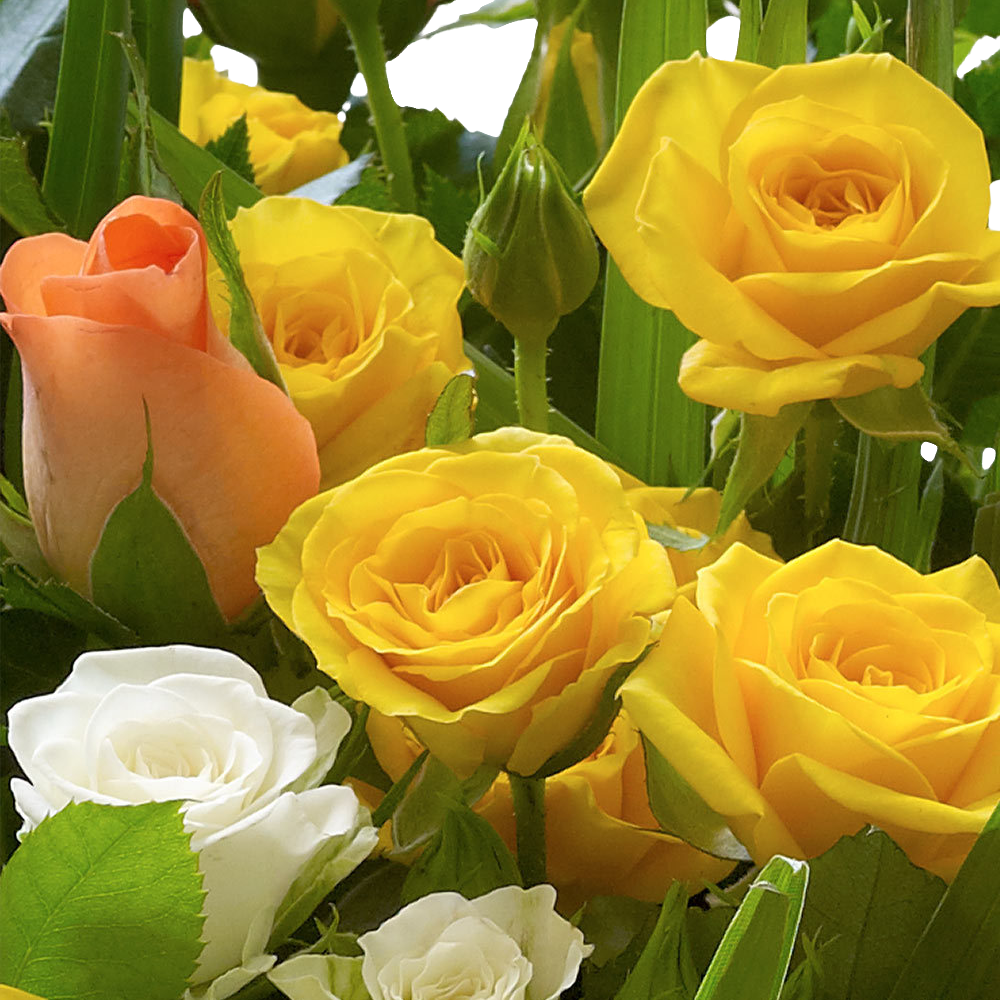 Fairtrade Golden Autumn Hand tied