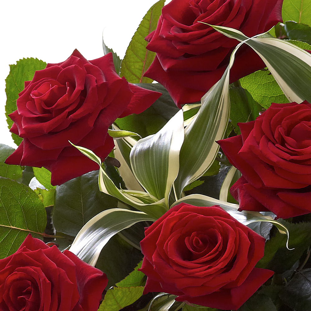 Heavenly Red Rose Hand tied