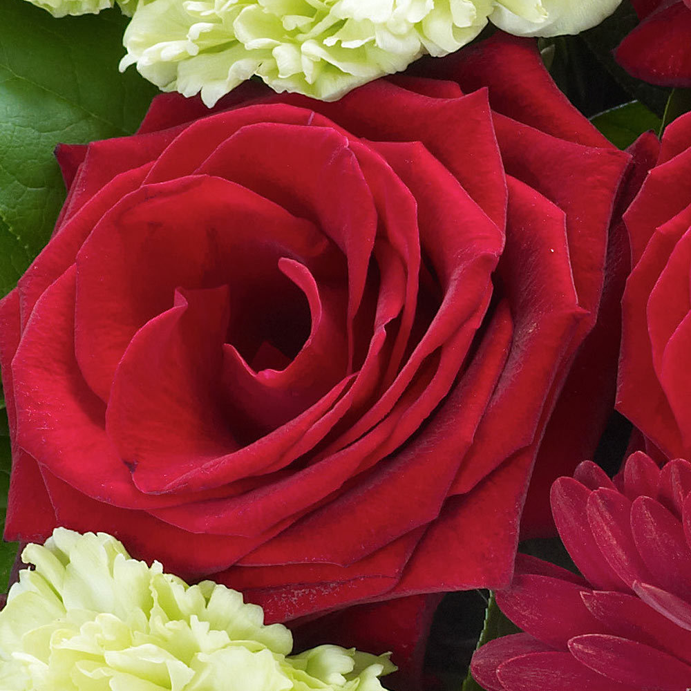 Heavenly Red Rose Hand tied