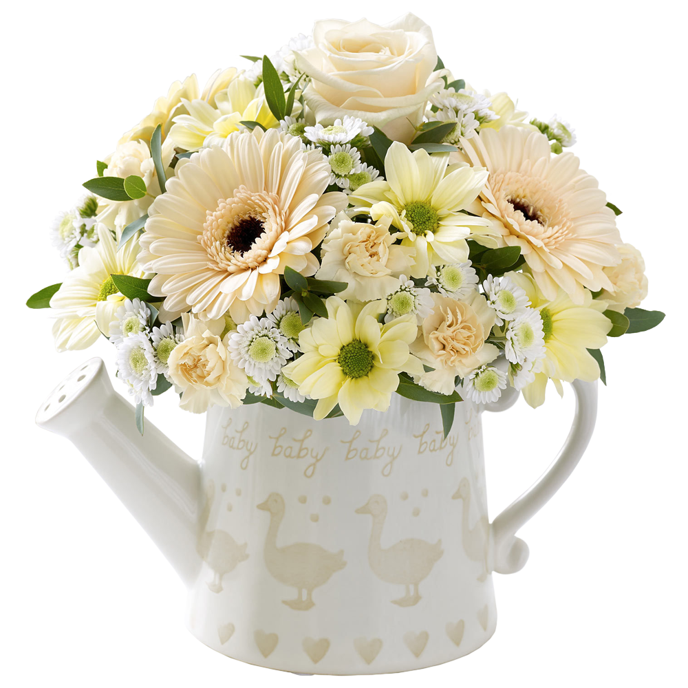Little Duckling Watering Can Cream with Bailey Bear
