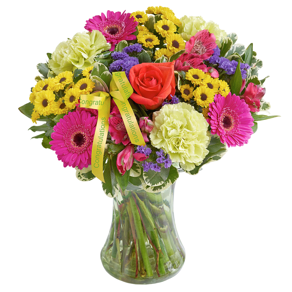 New Baby Vibrant Hand tied or Vase