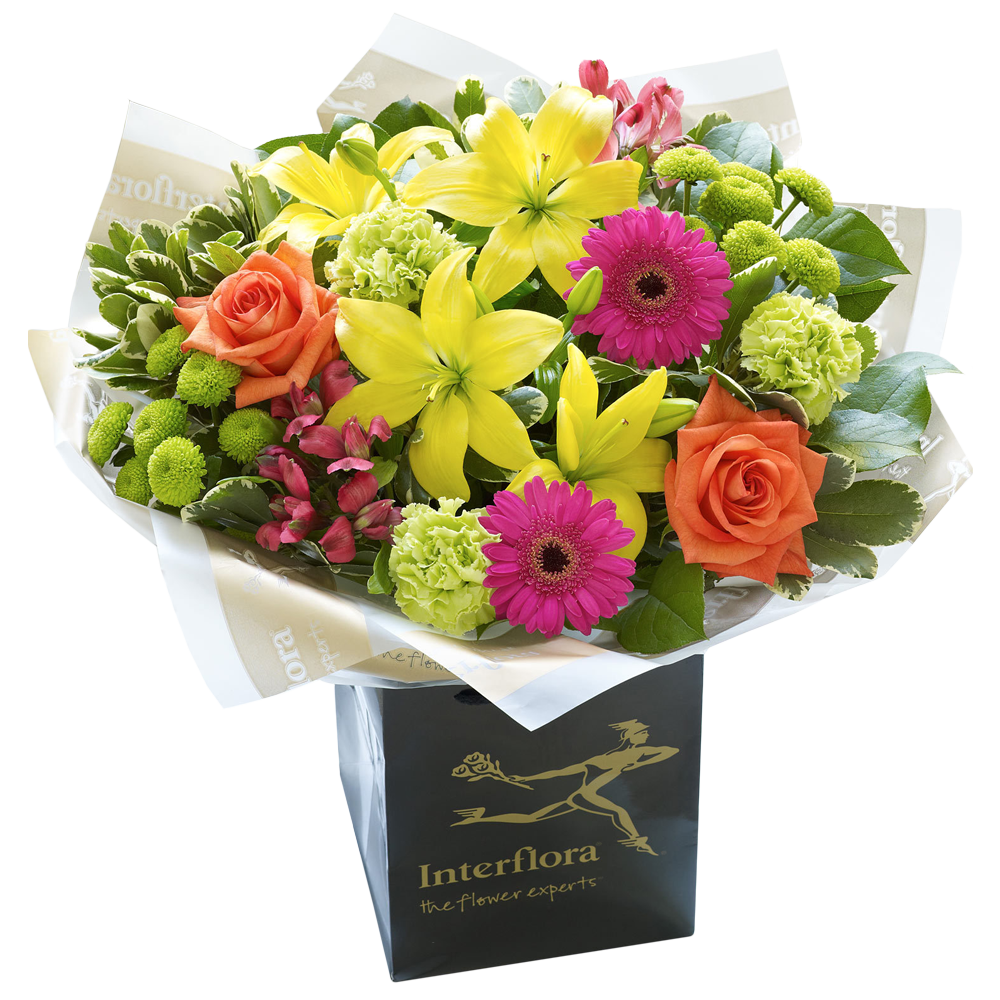 New Baby Vibrant Hand tied or Vase