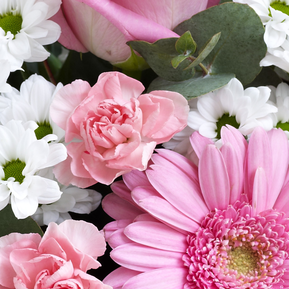Pink Perfect Gift
