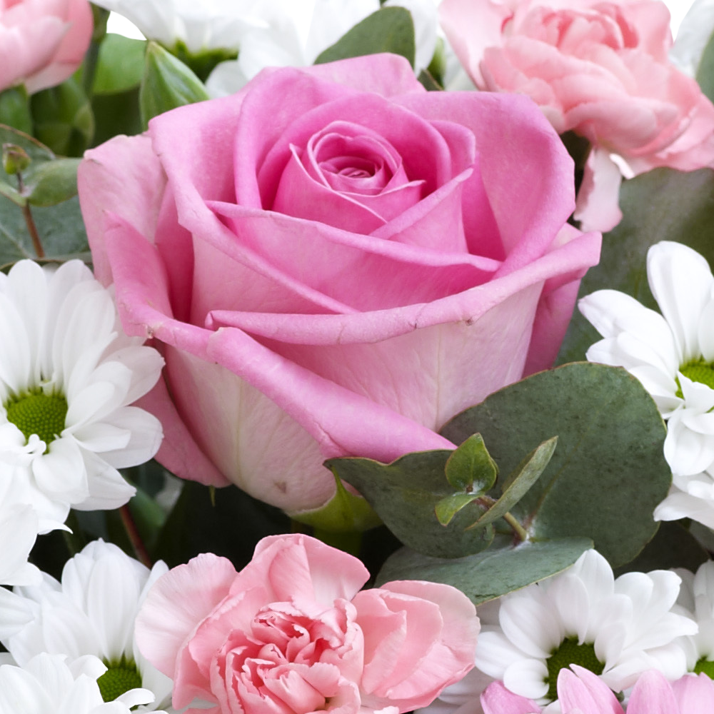 Pink Perfect Gift