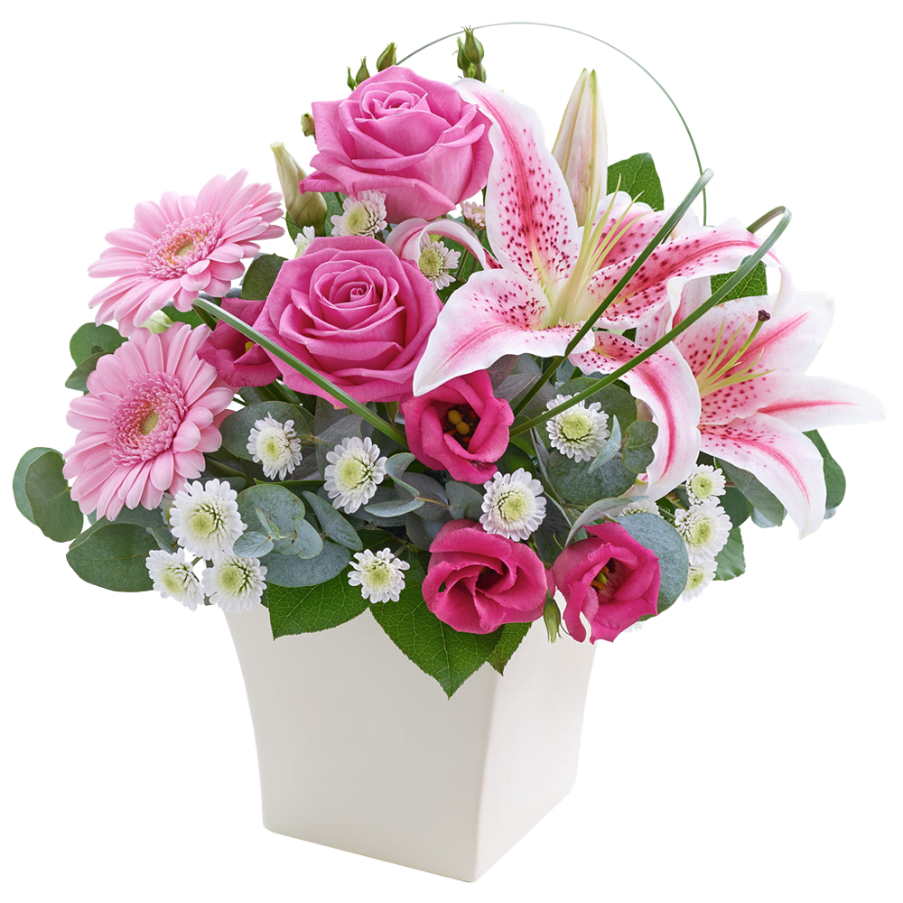 Pink Perfect Gift