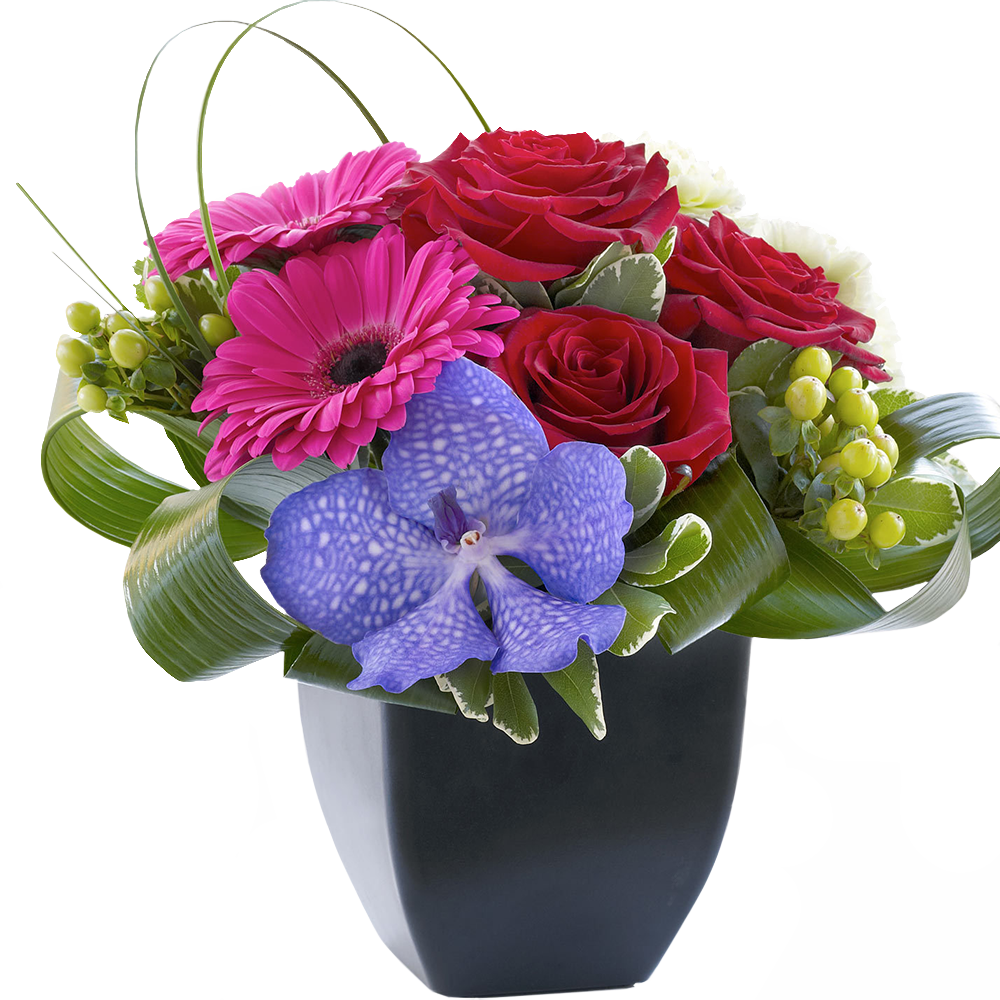Rose, Gerbera and Vanda Orchid Arrangement