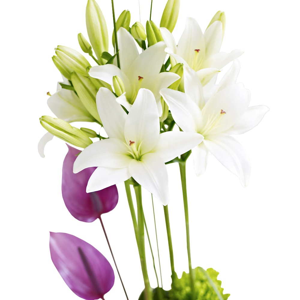 Rose, Gerbera and Vanda Orchid Arrangement