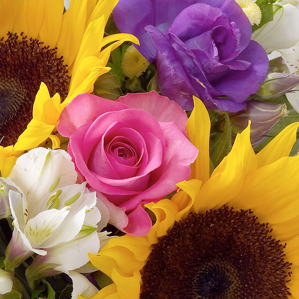 Sunflower Hand tied