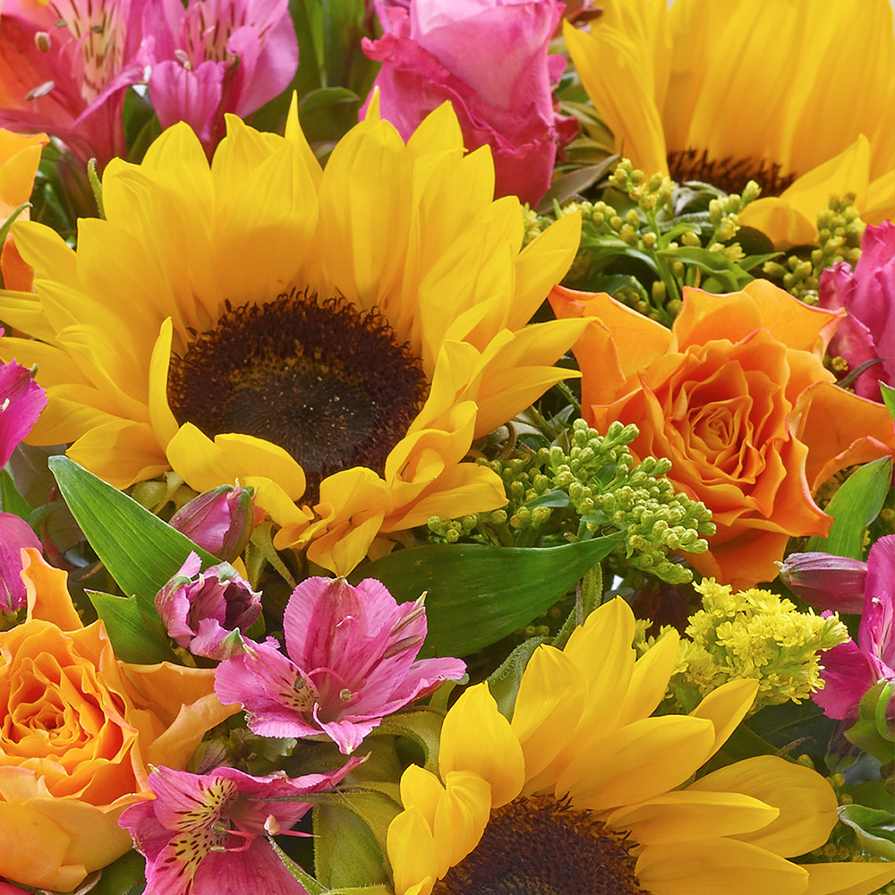 Sunflower Hand tied