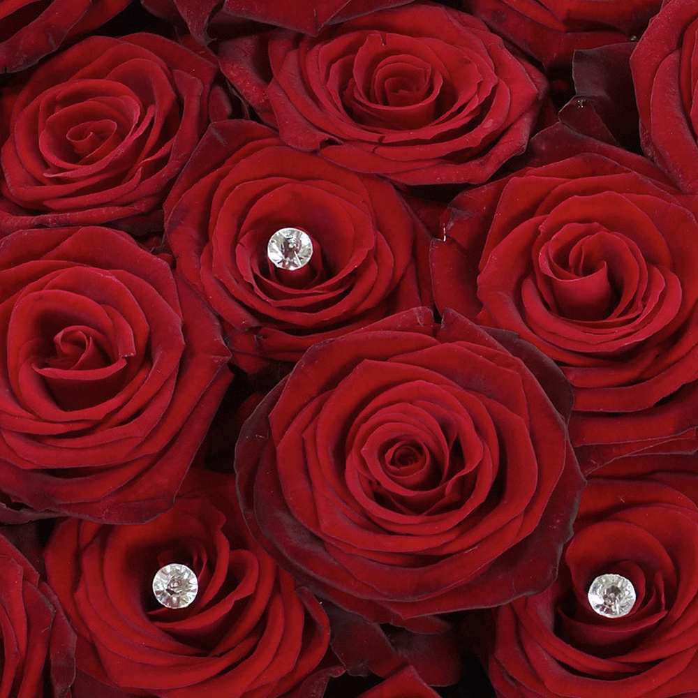 Ultimate 100 Grand Prix Rose Hand tied