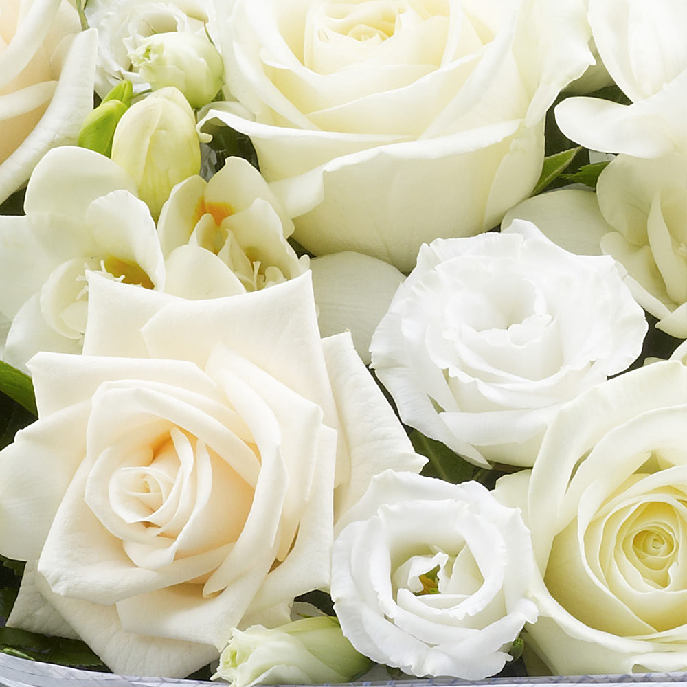 Vera Wang Purest Grace