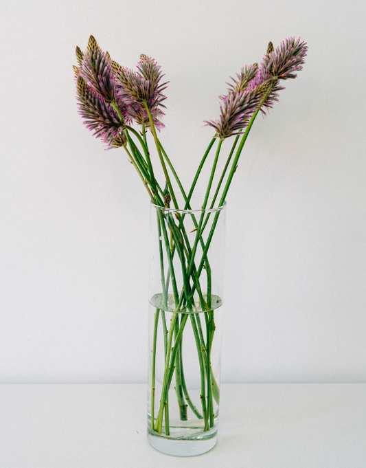 Rose, Gerbera and Vanda Orchid Arrangement