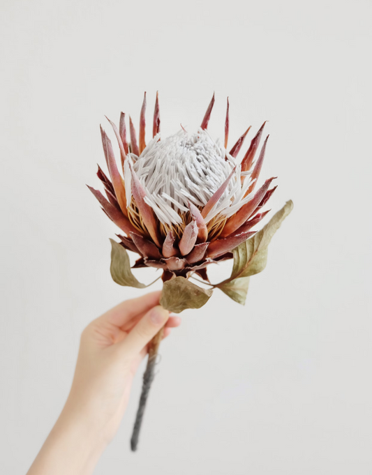 Vera Wang Purest Grace