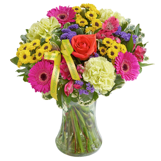 New Baby Vibrant Hand tied or Vase