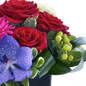 Rose, Gerbera and Vanda Orchid Arrangement