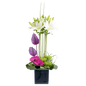 Rose, Gerbera and Vanda Orchid Arrangement