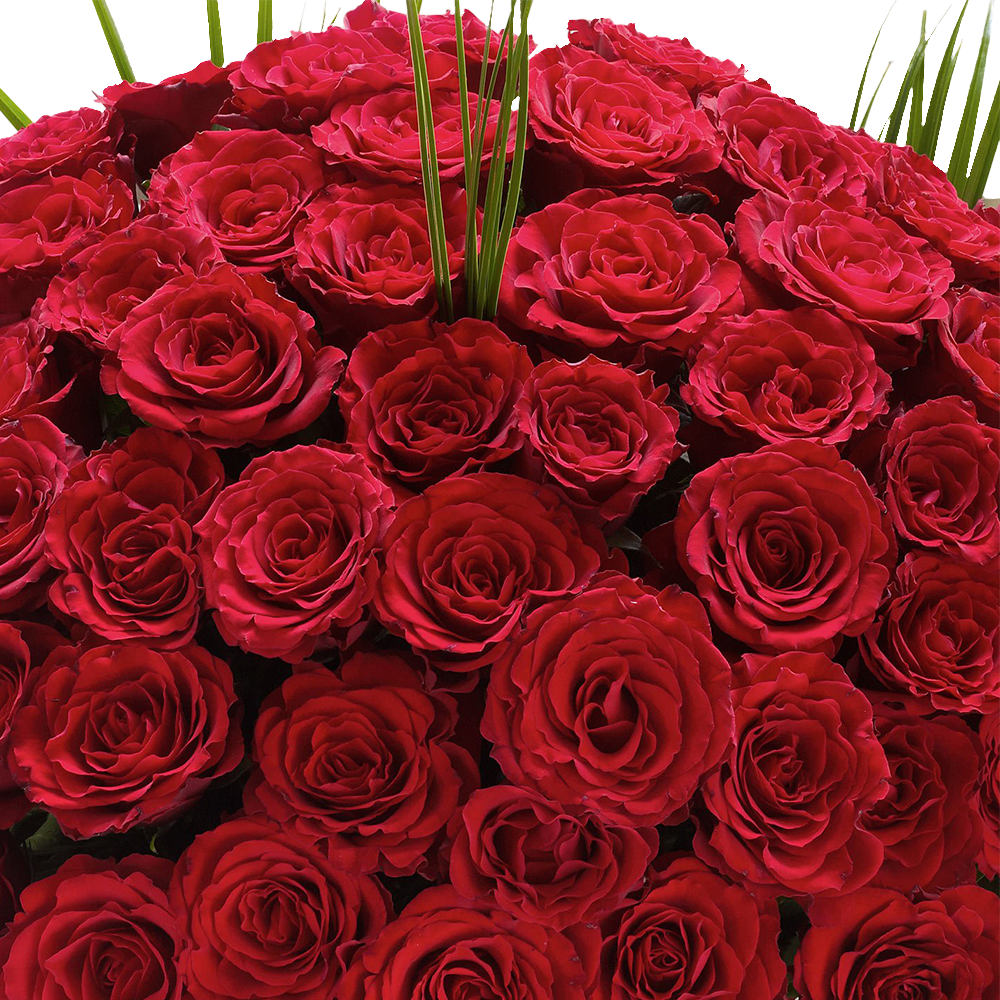 Ultimate 100 Grand Prix Rose Hand tied